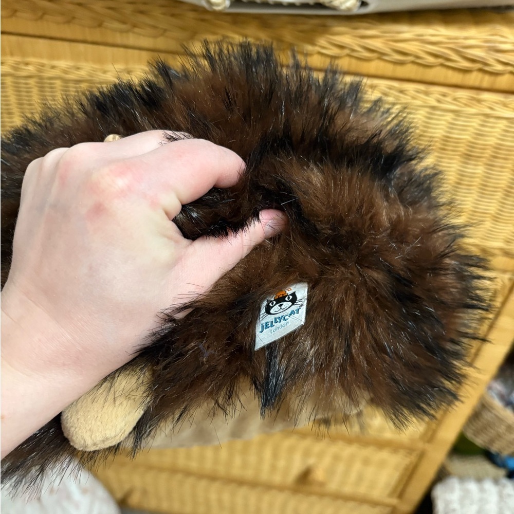 Jellycat Hamish Furry Hedgehog Plush 🦔 - Picture 6 of 7